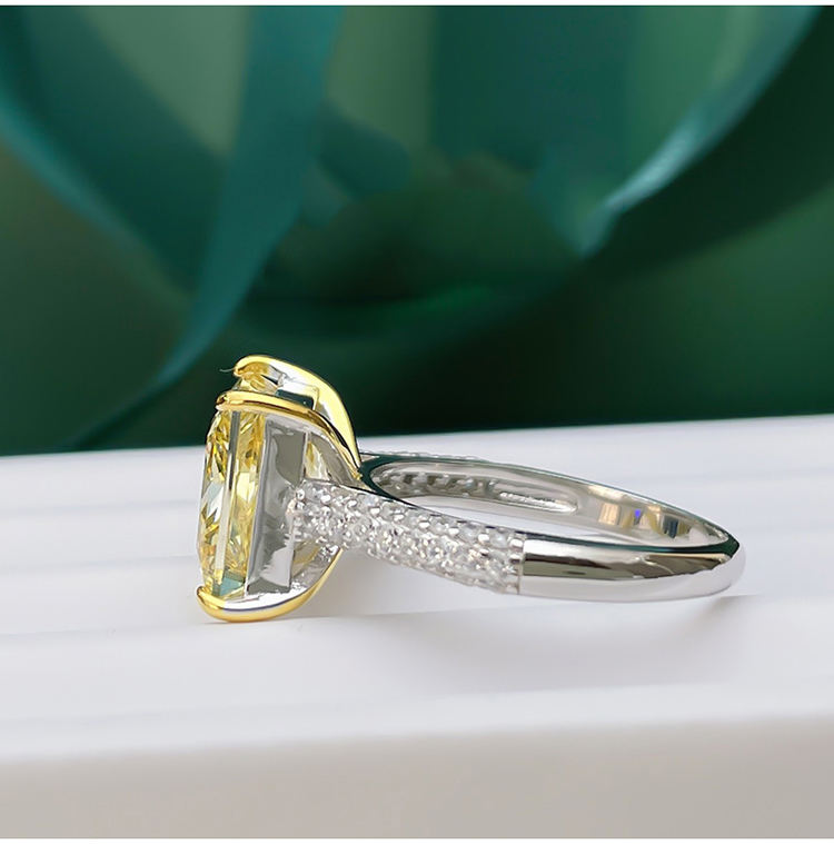 925 Sterling Silber 5,00 ct Moissanit-Ring – Strahlende Perfektion im Princess Cut